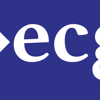 Elika Consulting Group